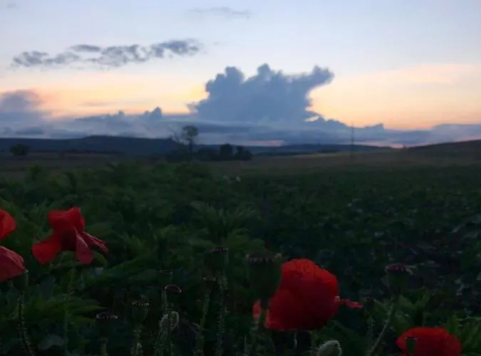 Bulgarka Maison d'hôtes